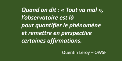 quote_OWSF_1.png
