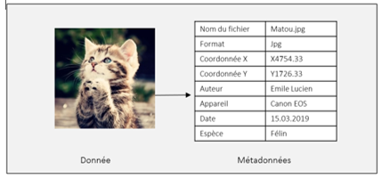 metadata_cat_tableau.png