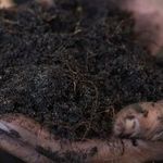 shutterstock_692567317_150X150.jpg